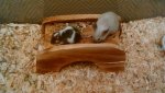 IMG-20160102-WA0002.jpg