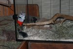 DSC_8071.jpg
