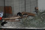 DSC_8072.jpg