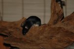DSC_8168.jpg