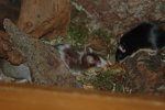 DSC_0020.jpg