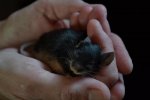 DSC_0073.jpg
