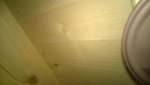 WP_20160113_007.jpg