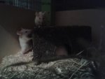 20160113_194316.jpg
