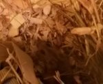 20160119_161120_LLS-1.jpg
