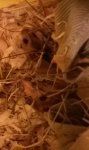 20160119_161800_LLS-1.jpg