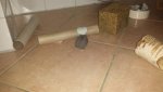 IMG-20160219-WA0016.jpg