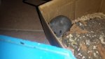 IMG-20160219-WA0032.jpg