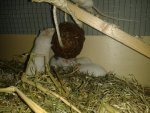 20160228_202609.jpg