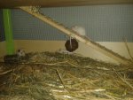 20160228_202824.jpg