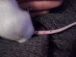 CAM00153.jpg