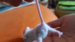 20160316_141424 vk.jpg