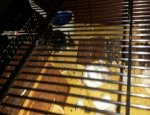 IMG-20160316-WA0027-210x160.jpeg