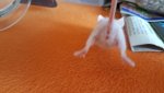 20160316_141234 vkk1.jpg
