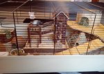 IMG_20160306_175525.jpg