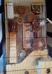 IMG_20160306_175548.jpg