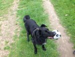 IMG-20160410-WA0002.jpg