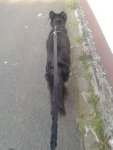 IMG-20160410-WA0000.jpg