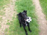IMG-20160410-WA0003.jpg