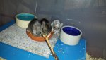2016-04-08 23.29.26.jpg