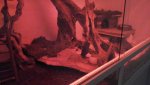 20160425_210619.jpg