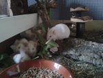20160501_193317.jpg