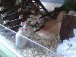 20160501_193952.jpg
