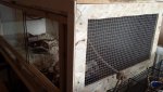 20160503_144219.jpg