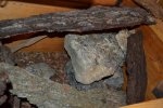 DSC_0126.jpg