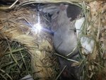 20160519_191831.jpg