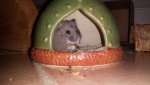 IMG-20160524-WA0039.jpg