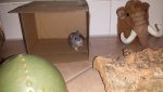 20160524_220054.jpg
