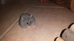IMG-20160524-WA0013.jpg