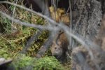 DSC_0079.jpg