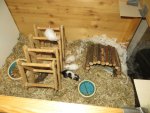 IMG_3820[1].jpg
