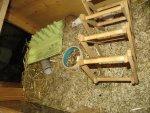 IMG_3825[1].jpg