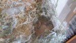 20160618_111054.jpg