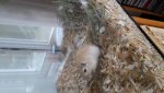20160618_111143.jpg