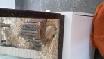 20160620_073311.jpg
