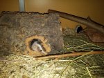 20160627_225120.jpg