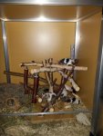 20160629_000937.jpg