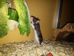 20160628_234845.jpg
