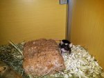 20160629_000123.jpg