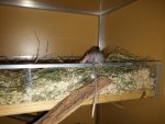 20160629_233001.jpg