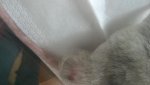 WP_20160702_16_05_00_Pro.jpg
