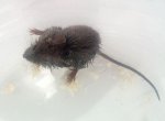 2016-07-05 11.00.20.jpg