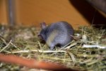 DSC_0397.jpg