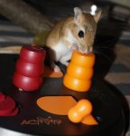 PSX_20160622_214301.jpg