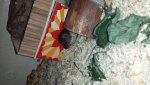 20160703_110449.jpg
