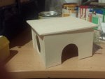 IMG_20160218_220739.jpg